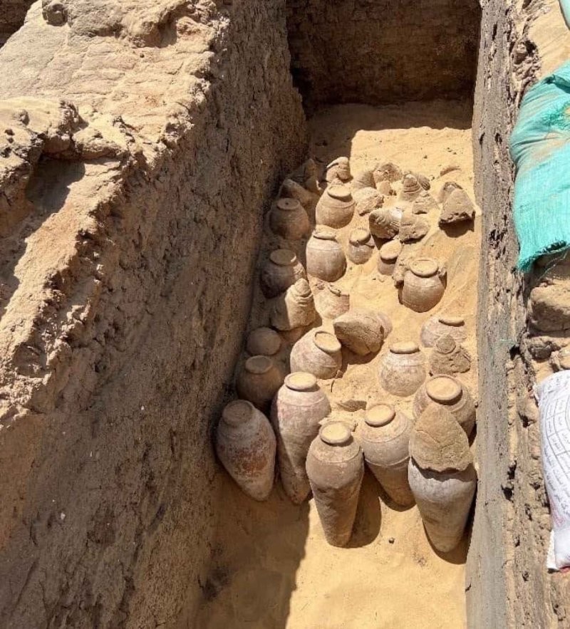 В Египте нашли кувшины с вином выдержкой в 5000 лет