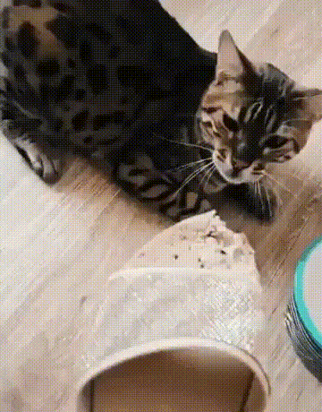 Дважды виновен