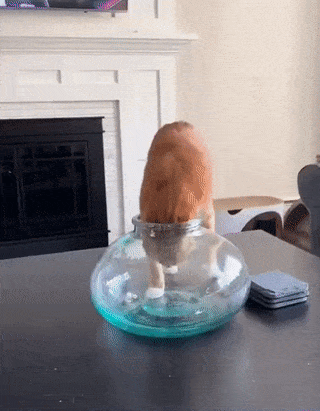 С добрым утром