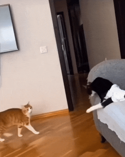 Видеть цель, не видеть препятствий