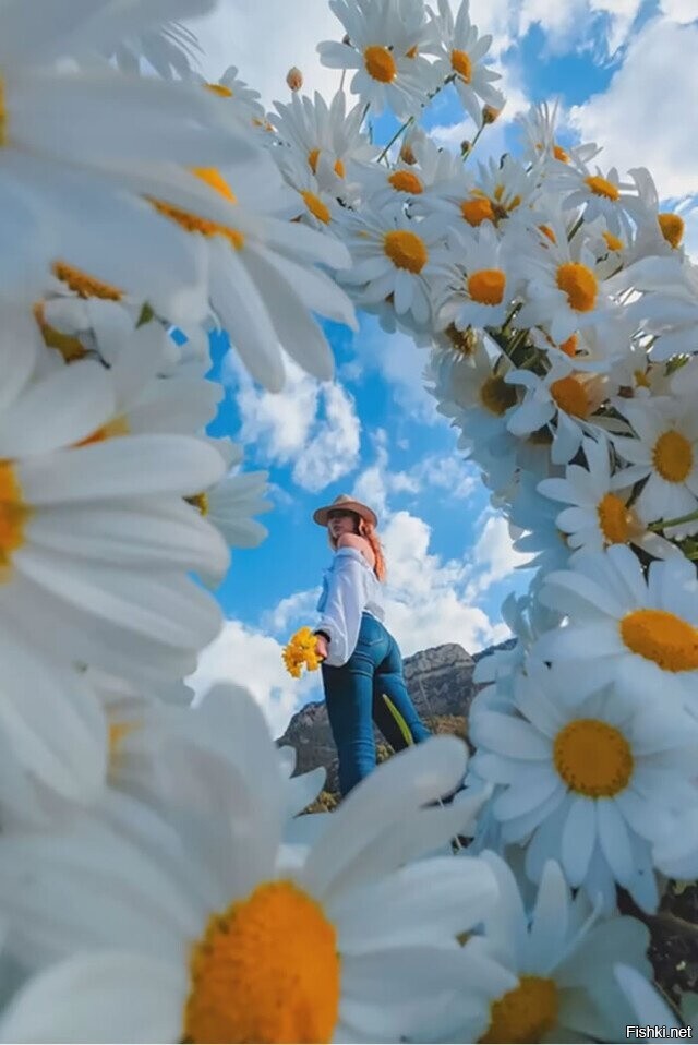 Jordi Puig фотограф