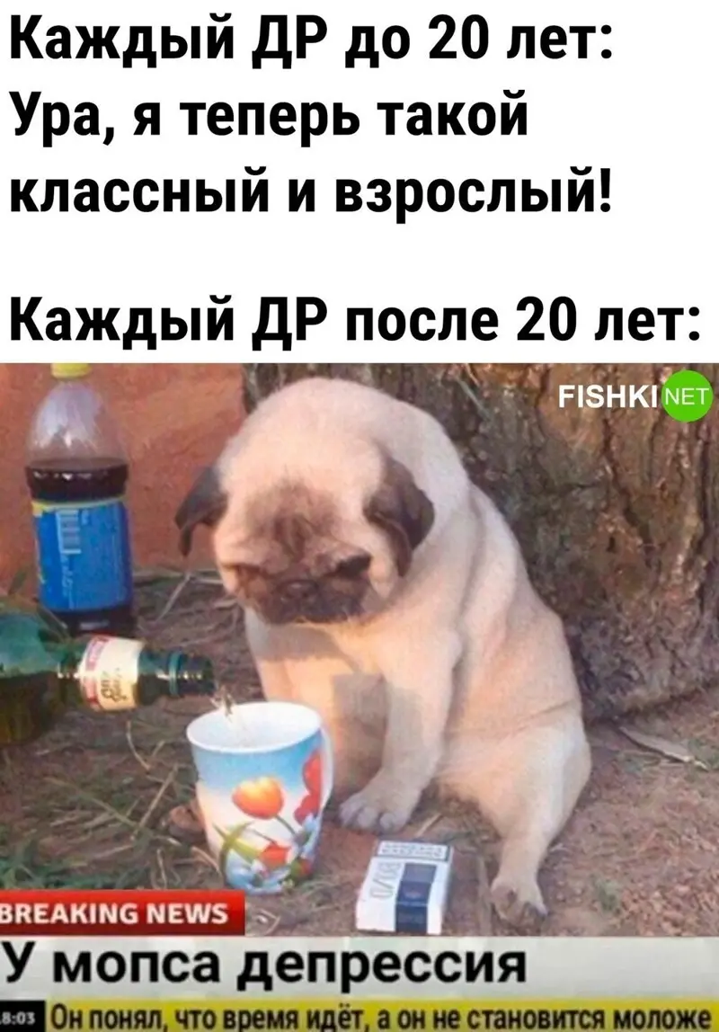 Можно ли прожить на одну пенсию? (расчеты)