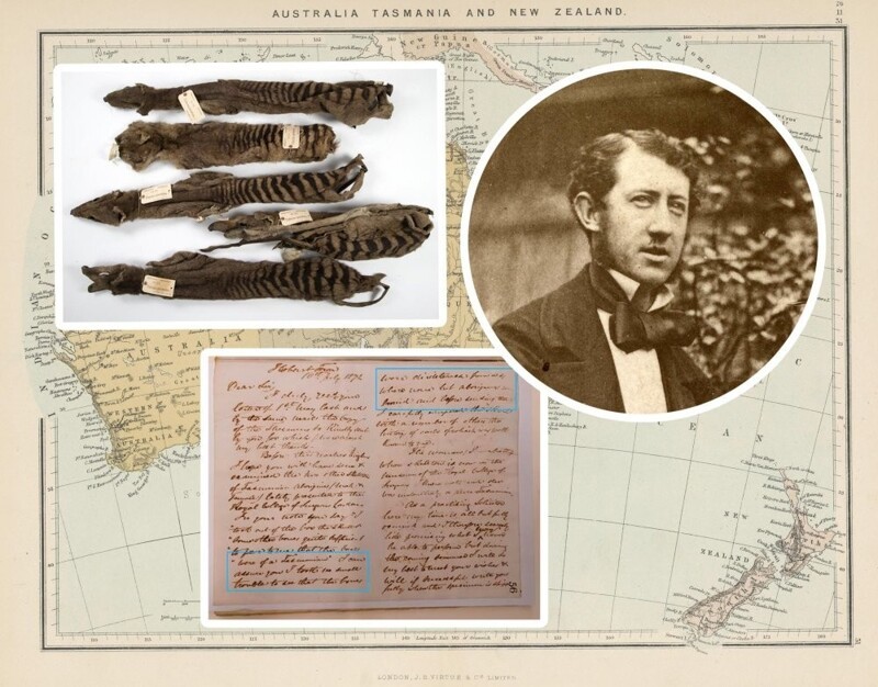 Кровавый путь в науку: как 150 лет спустя разоблачили «ведущего ученого» колонизированной Тасмании