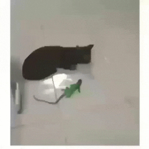- Кто это