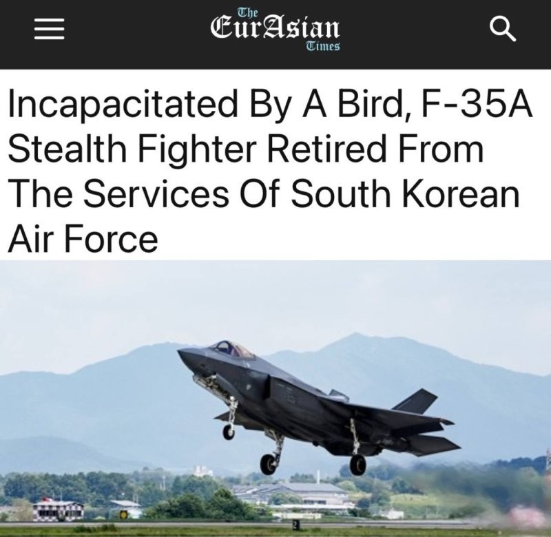 В Южной Корее птица сбила американский истребитель F-35A