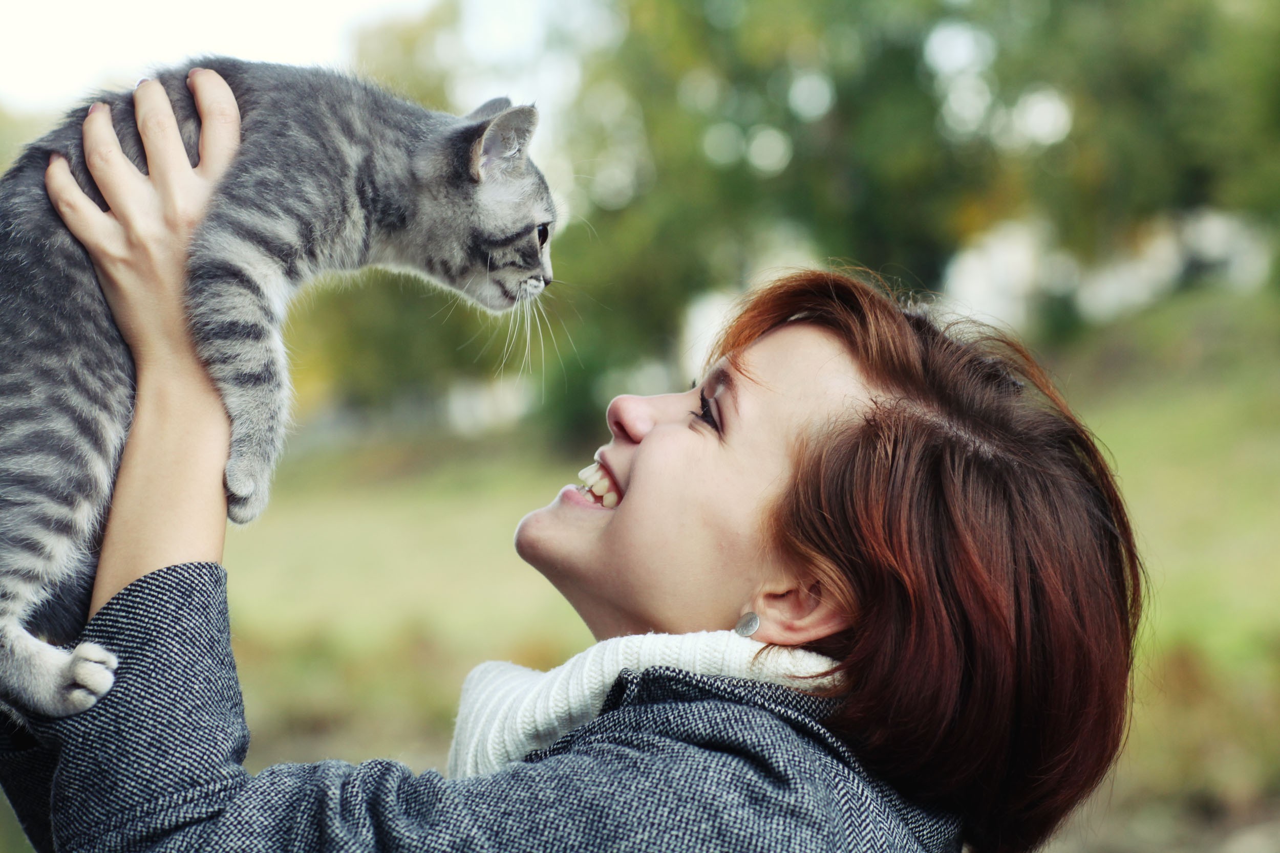 Игриво ласково. Фотосессия с котом. Кошка обнимает. Девушка обнимает кошку.