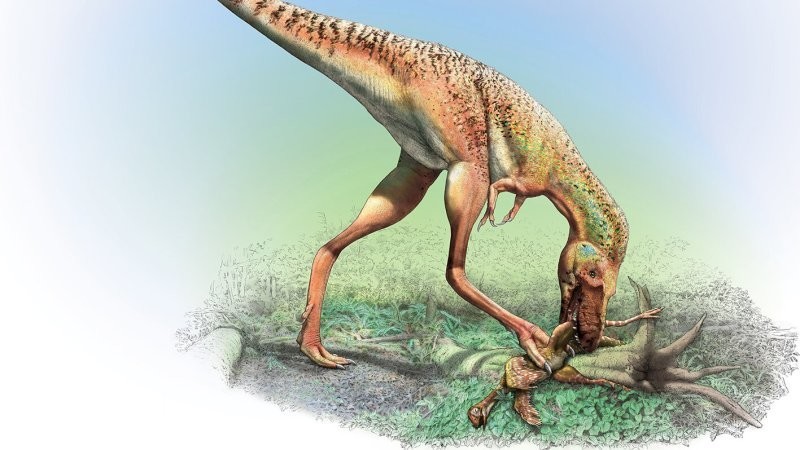 Последняя трапеза динозавра возрастом 75 млн лет