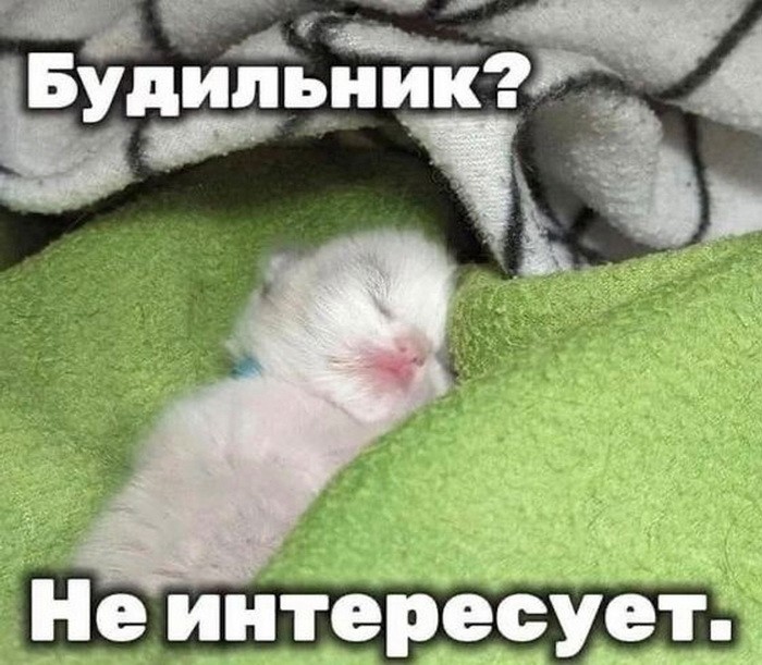 Скрины из соцсетей 