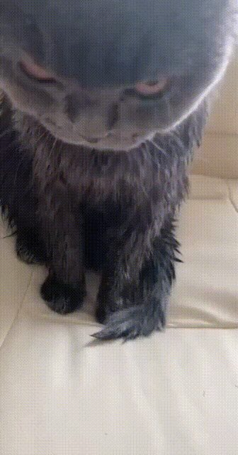 Месть будет суровой