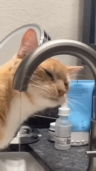 С добрым утром