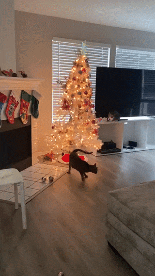 С добрым утром