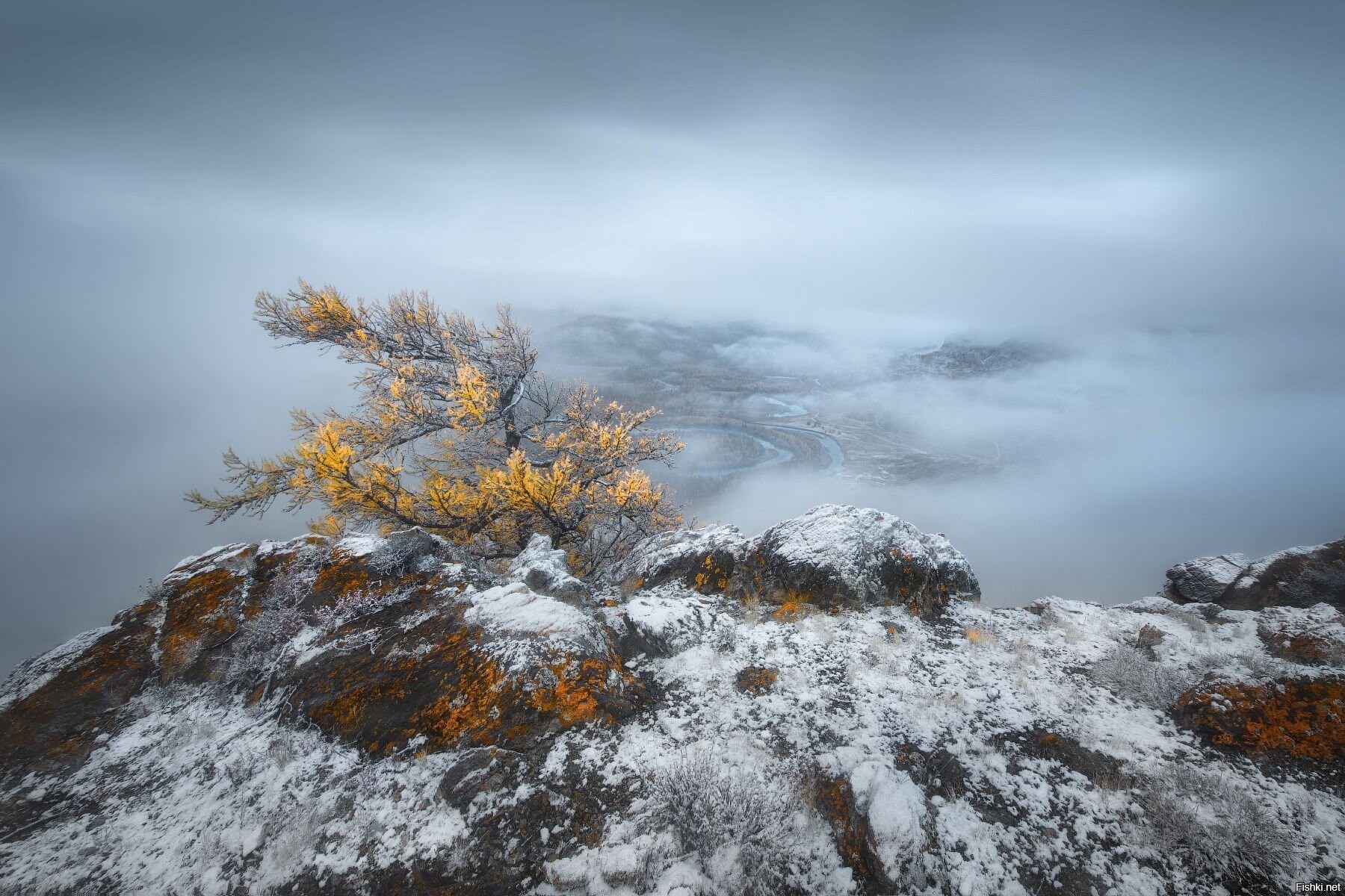 дыхание зимы близко. дыхание зимы конкурс 2023. дыхание зимы конкурс 2023. тихое дыхание зимы. дыхание зимы конкурс 2023.