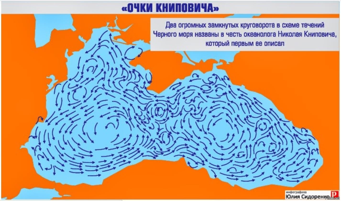 Карта черных вод. Очки Книповича в черном море. Карта течений черного моря. Морские течения черного моря. Течение в черном море направление.