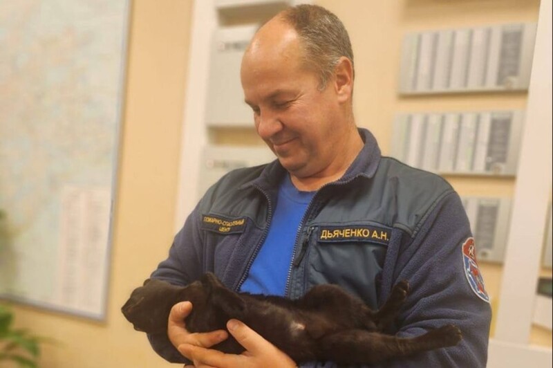 Истории спасения животных. Кому помогли московские спасатели в 2023 году