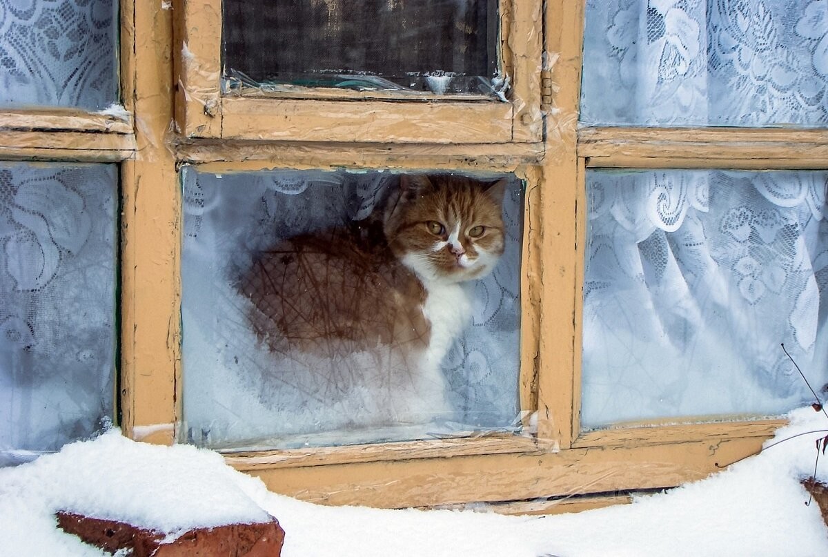 При сильных морозах на стеклах окон. Зимнее окно. Окно зимой. Окно с зимним пейзажем. Зимнее окно снаружи.