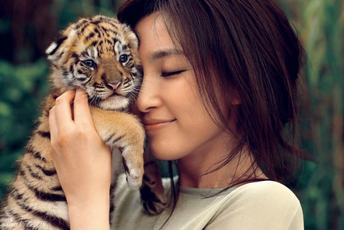 С молодыми животными девушки. Девушка тигрица. Красивая девушка с тигром. Девушка с тигренком. Люди и животные.