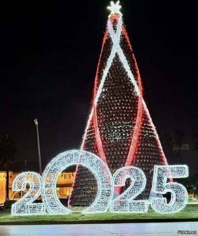 Какой следующий год 2025 символ. Какой следующий год 2025 символ