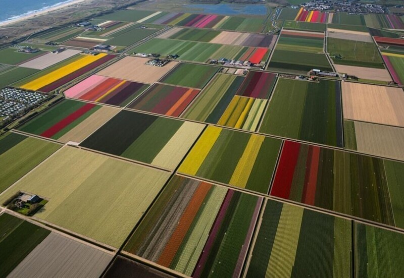 2. Может показаться, что это палитра красок, но это поля в Нидерландах
