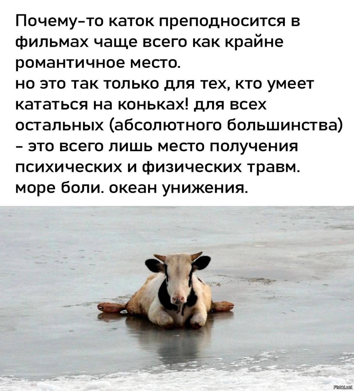 расписание врачей детской поликлиники. детская поликлиника 2 расписание врачей. квд череповец чкалова. расписание приема врачей кожвендиспансера. запись на прием к врачу в кожно венерологический диспансер.