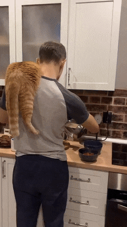 С добрым утром