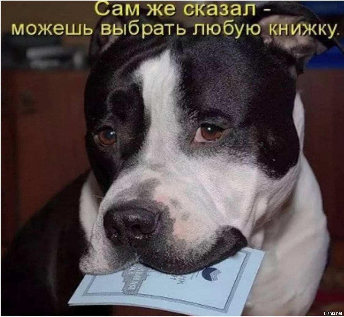 Ну сама открой