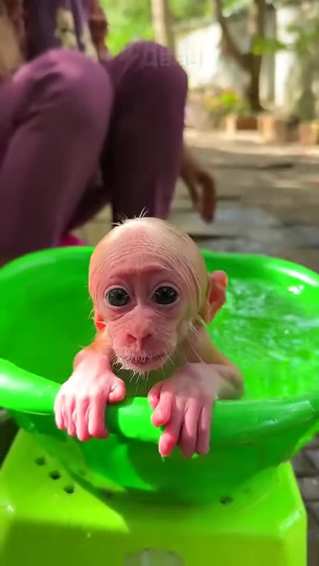 был 15 минут назад. был в сети 15 мин назад. был в сети 5 минут назад. бульвар депо 5 минут назад. пародия пять минут назад.