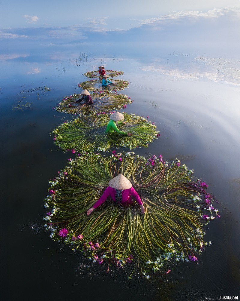 Funny 4 канал. семья \капустиных\ южная каролина сша. Funny 4 канал. фани 4. Funny 4 канал.