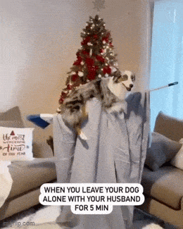 Когда муж еще тот выдумщик