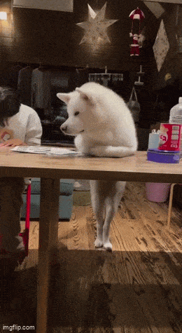 И удобно же устроился