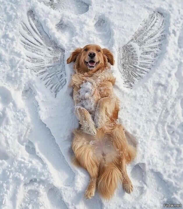 изображение ангелов. крылатый волк семаргл. животные люди ангелы. амалиэль ангел. животные люди ангелы.