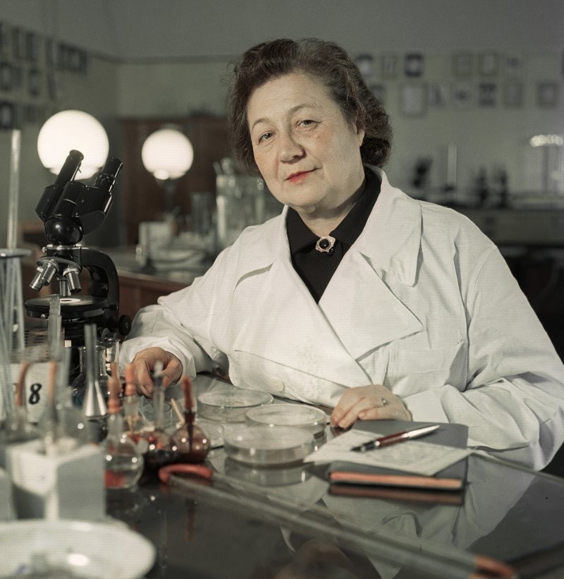 Женщины-учёные, оказавшие большое влияние на мир. Часть 2
