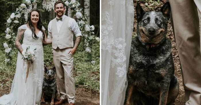 Зверушки, испортившие кадр