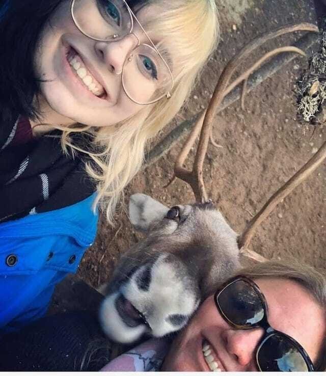 Зверушки, испортившие кадр