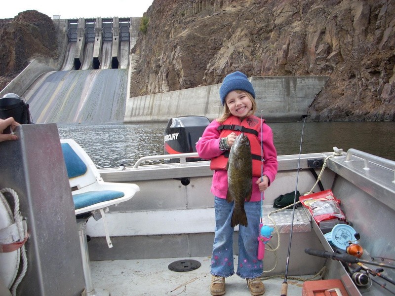 Всё вразнобой&nbsp;