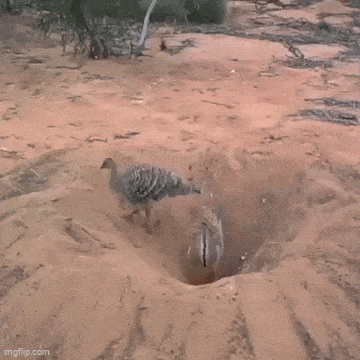 Так и живут