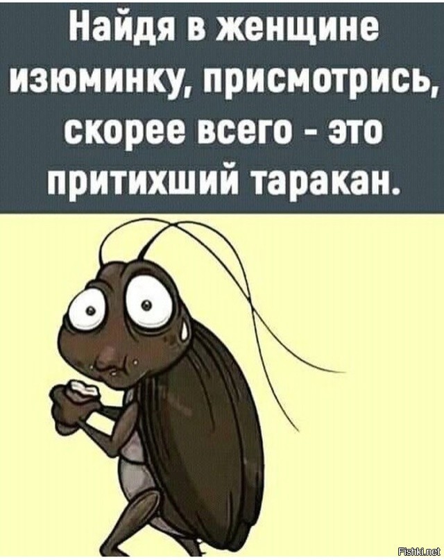 Собаки притихли оттого что никто