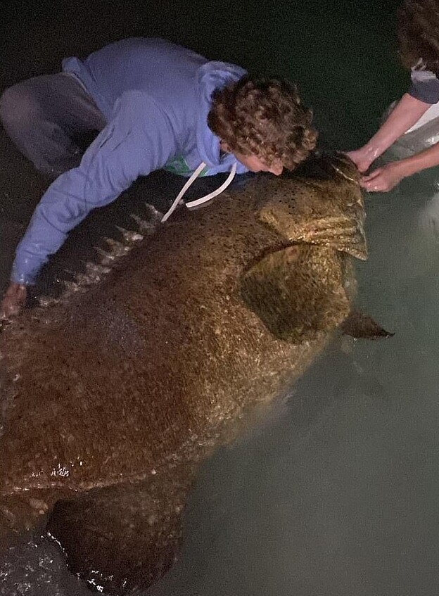 Парень похвастался гигантским 100-килограммовым уловом