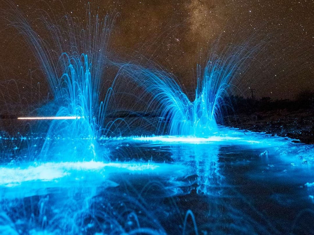 Наблюдать светиться. Озеро Гиппсленд Австралия. Мальдивы остров Ваадху море. Биолюминесцентный планктон. Светящийся океан биолюминесцентный фитопланктон.