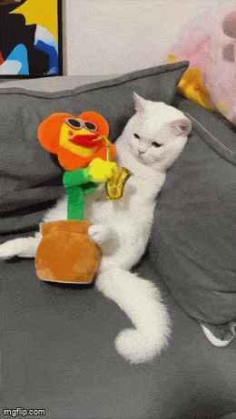 Она и ты, уставший после рабочего дня