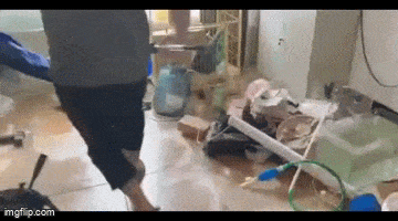 Не так-то просто вернуть ее в аквариум