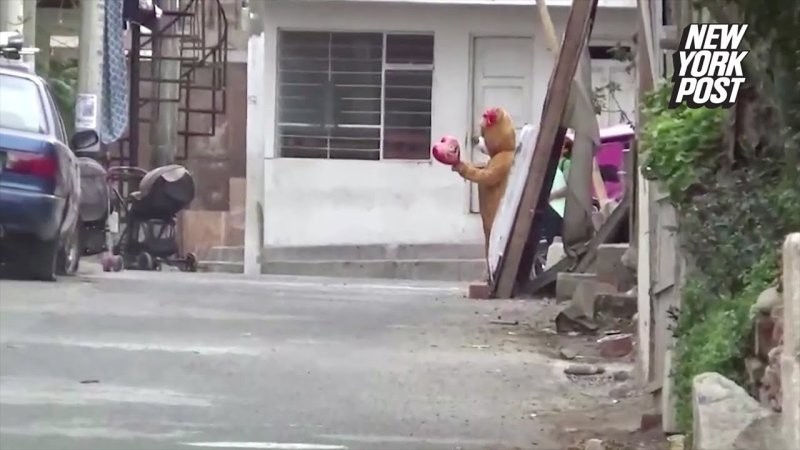 В Перу полицейский переоделся в плюшевого медведя, чтобы поймать наркоторговку в День святого Валентина