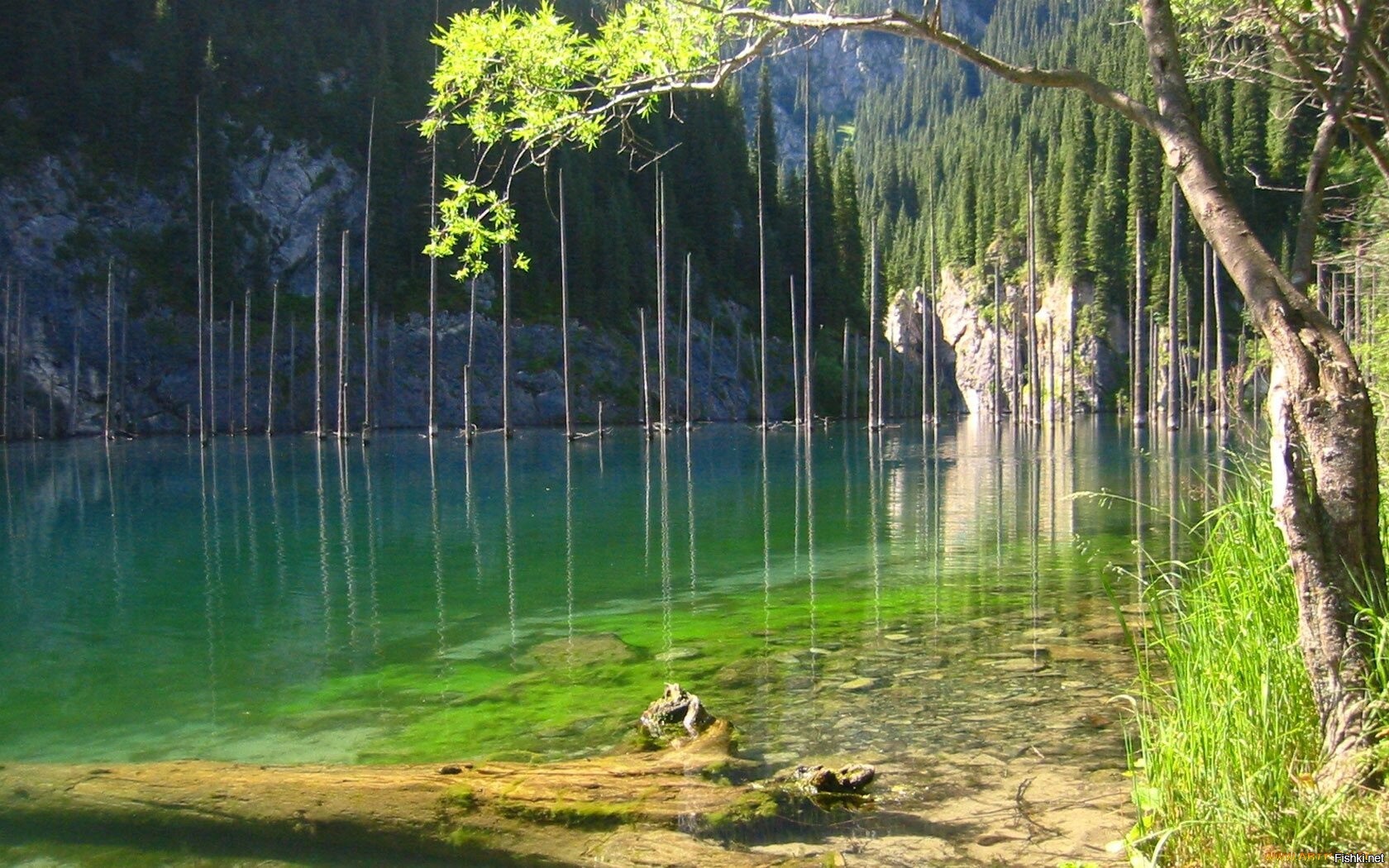 Kaindy Lake Kazakhstan