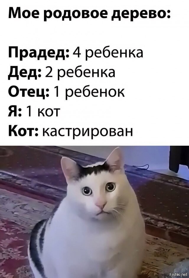 Смешные картинки сегодня