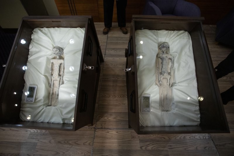 В "инопланетных мумиях" найден уникальный тип ДНК