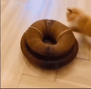 С добрым утром