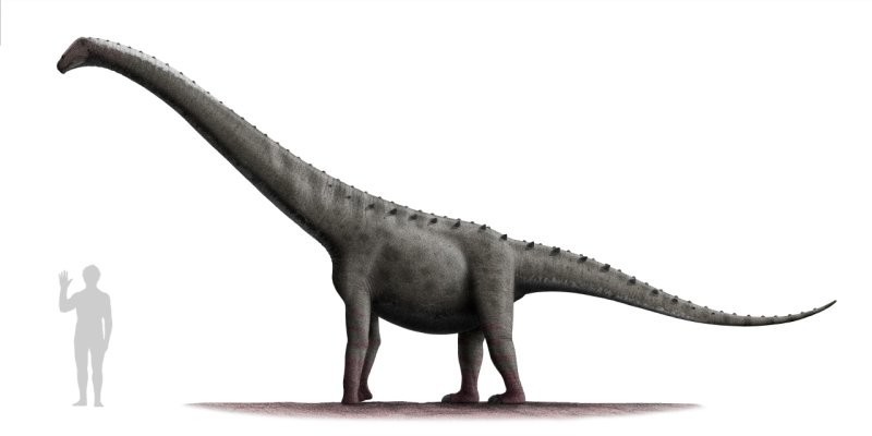 Француз нашёл нетронутый скелет гигантского динозавра