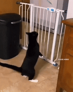 Просто гифки, всякие и&nbsp;разные