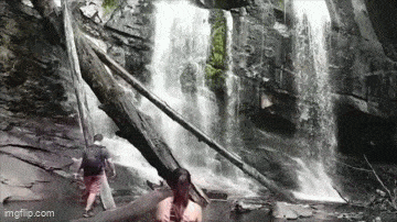 По скользкому бревну