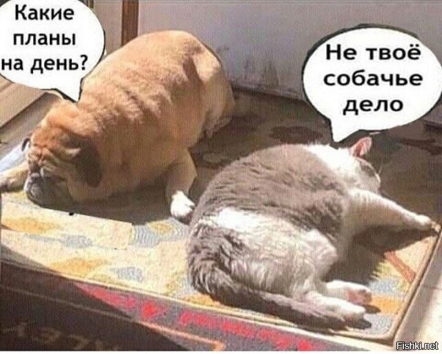 27 34 21. координаты 23. 27 34 21. 26. пыльник 21*42 мягкий.