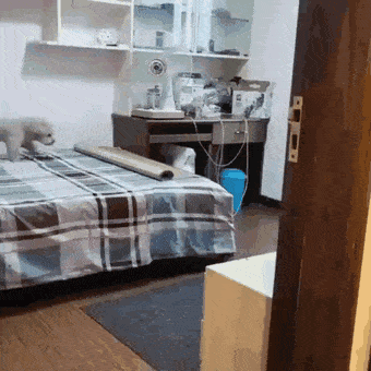 Просто гифки, всякие и&nbsp;разные